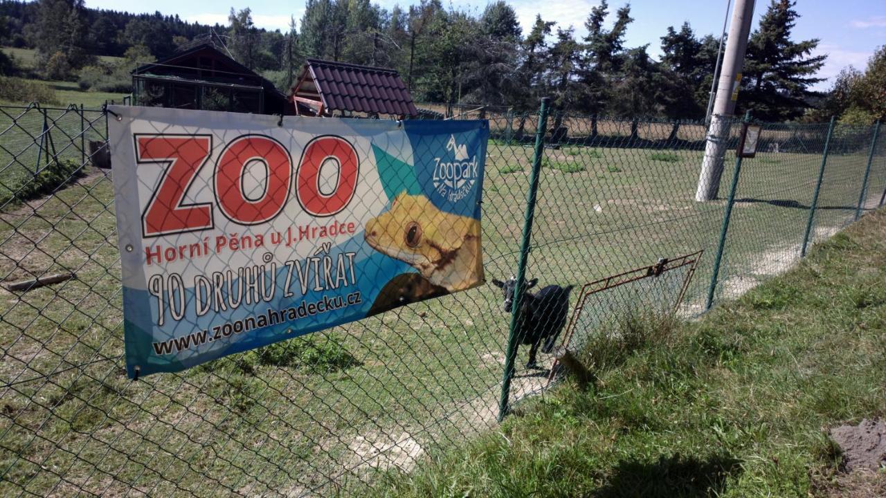Penzion Lada Nová Bystřice 外观 照片